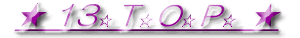 13gbvy[W