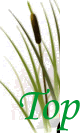 9gbvy[W