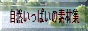 Rς̑fޏW l